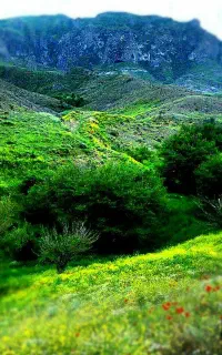 معاملات علمی تخصصی ملک های مسکونی،تجاری،صنعتی،باغ