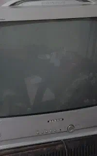 تلوزیون