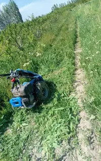 علف چین و شخم زنی