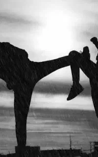 اموزش هنرهای رزمی ترکیبیMMA