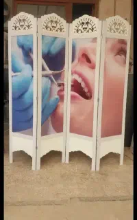 پارتیشن/پاراوان