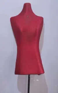 مانکن‌سوزن‌خور‌