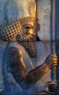 بازدید تخت جمشید خودرو سواری