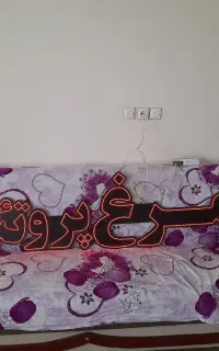 فروش ال ای دی مرغ وپروتئین