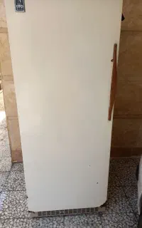فریزر کاملاسالم