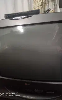 تلوزیون