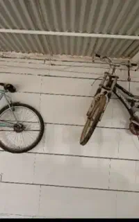 دوچرخه مفت