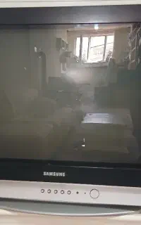 تلوزیون
