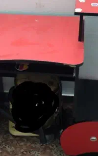 مبل ومیز تحریر