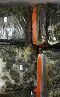 سبزی یخ زده آماده