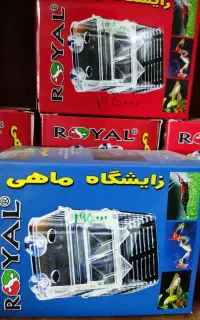 زایشگاه ماهی