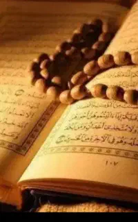 مولانا سرکتاب