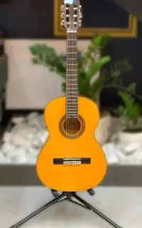 گیتار ak20