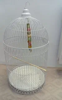 قفس پرنده