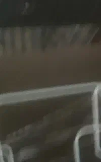 هود آلتون