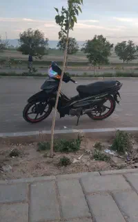 موتور ویو مدل ۱۳۹۴