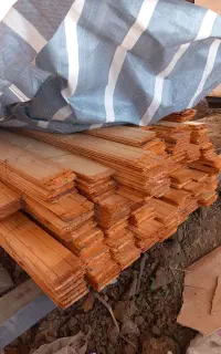 چوب نراد روسی به قیمت خوب