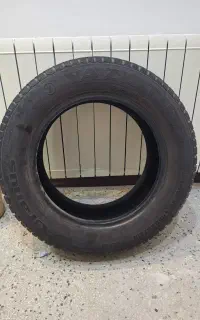 لاستیک برلیانس