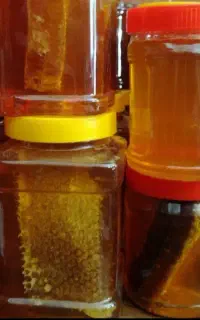 فروش عسل بیدمشک  لارو لتیان  کوه  شمال