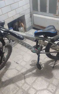 دوچرخه ۲۴ اینتس