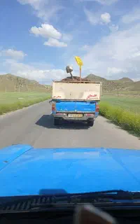 پهن گوسفندی