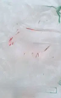 کیسه ۱۰ کیلویی برنج