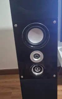 یک جفت باند اسپیکردارونوس