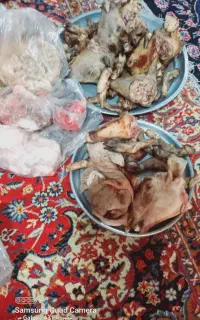 کله پاچه کشتار روز
