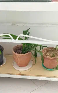 آکواریوم یک متری با پایه