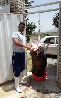 قصاب