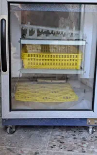 دستگاه جوجه کشی