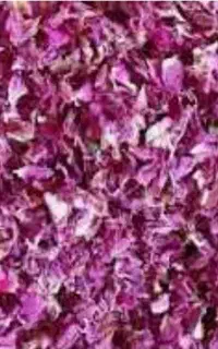 گلمحمدی خشک شده