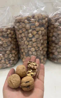گردو فسنجانی