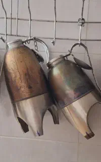 قوم قوما (قوری کوهی وباغات)