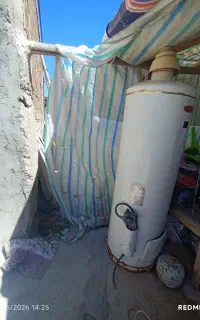 گرمگن زمینی سالم