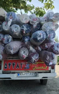 قالیشویی گلستان ۵۶۱۴۱۵۱۵