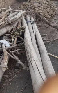 خریدار انواع چوب و کنده