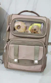 کفش کیف