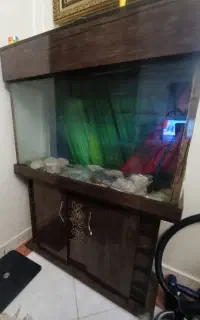 آکواریوم