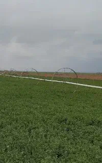 آب‌پاش‌بارانی‌ویلمو