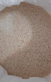 برنج هاشمی