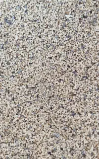 بذر گیاهی و دارویی درجه یک حراج