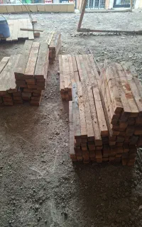 چوب نراد برای قالب بندی