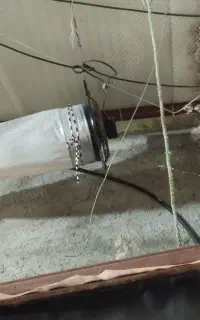 چهار عددفن سیرکوله سالن قارچ در ابعاد نیم متر