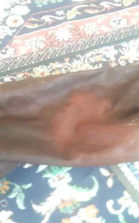 مشک دوغ وشیر