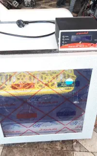 دستگاه جوجه کشی ققنوس ۴۲تایی
