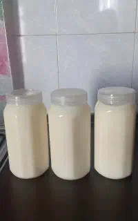 افرادی که دوست دارند در آشپزی خاص باشن