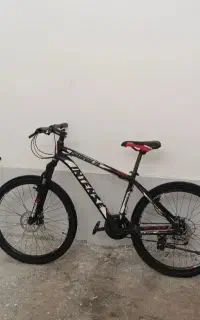 دوچرخه اینتنز