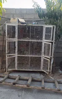 قفس کبوتر