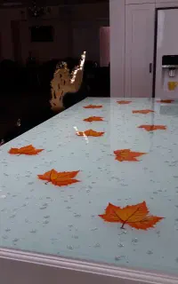 شبشه بری ثابت وسیار تمامی نقاط مشهد
